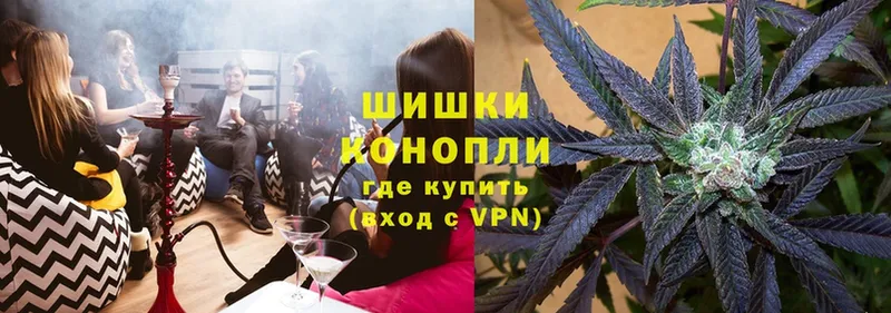 где найти   Мирный  Конопля White Widow 